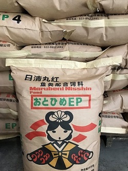 ブログ | 日清丸紅飼料株式会社 ブログ | 日清丸紅飼料株式会社